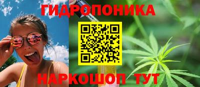 дживик Кунгур